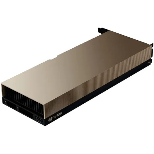 Picture (6).png